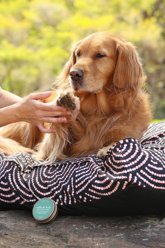 Paw & Skin Repair