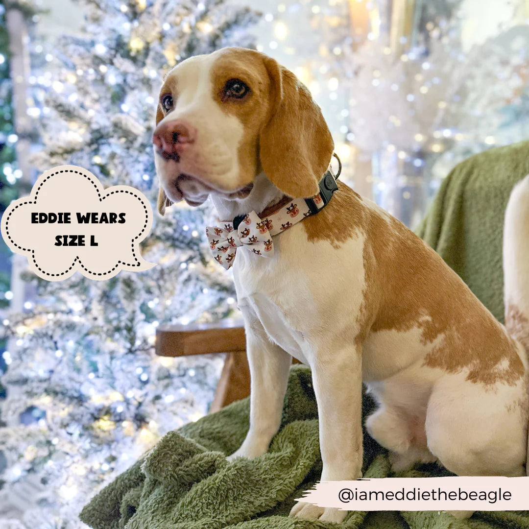 Cocopup London – Dog Collar – Ralphie Reindeer