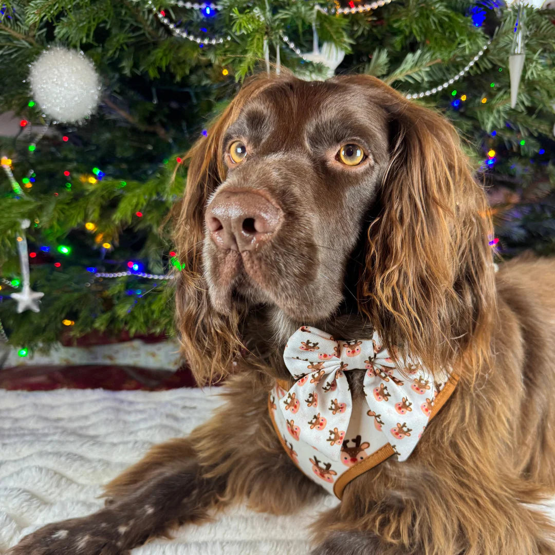 Cocopup London – Sailor Bow Tie – Ralphie Reindeer