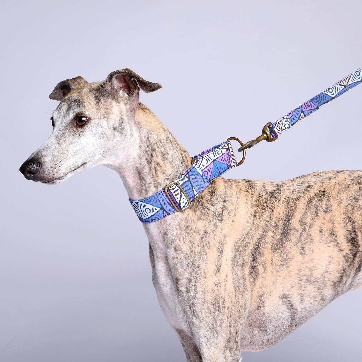 Martingale Collar - Sand Dunes