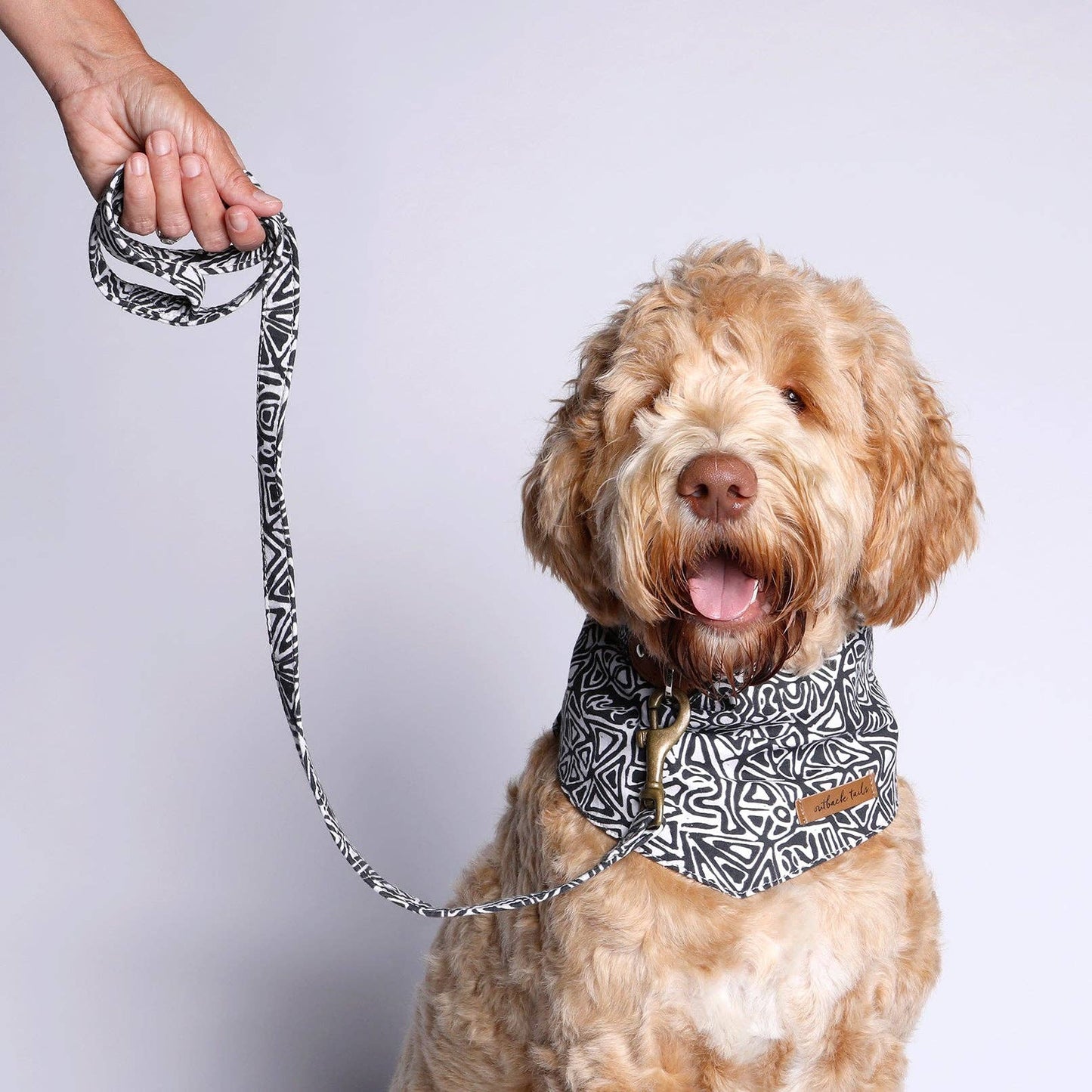 Vegan Canvas Dog Lead - Sand Dunes
