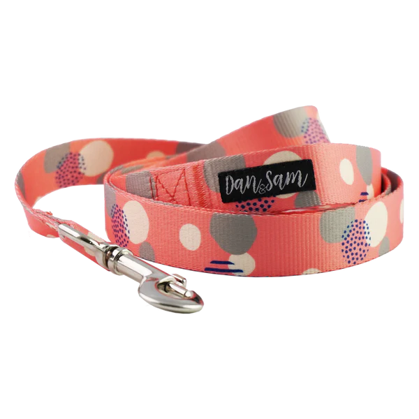 Dan & Sam Dog Lead – Fabulous