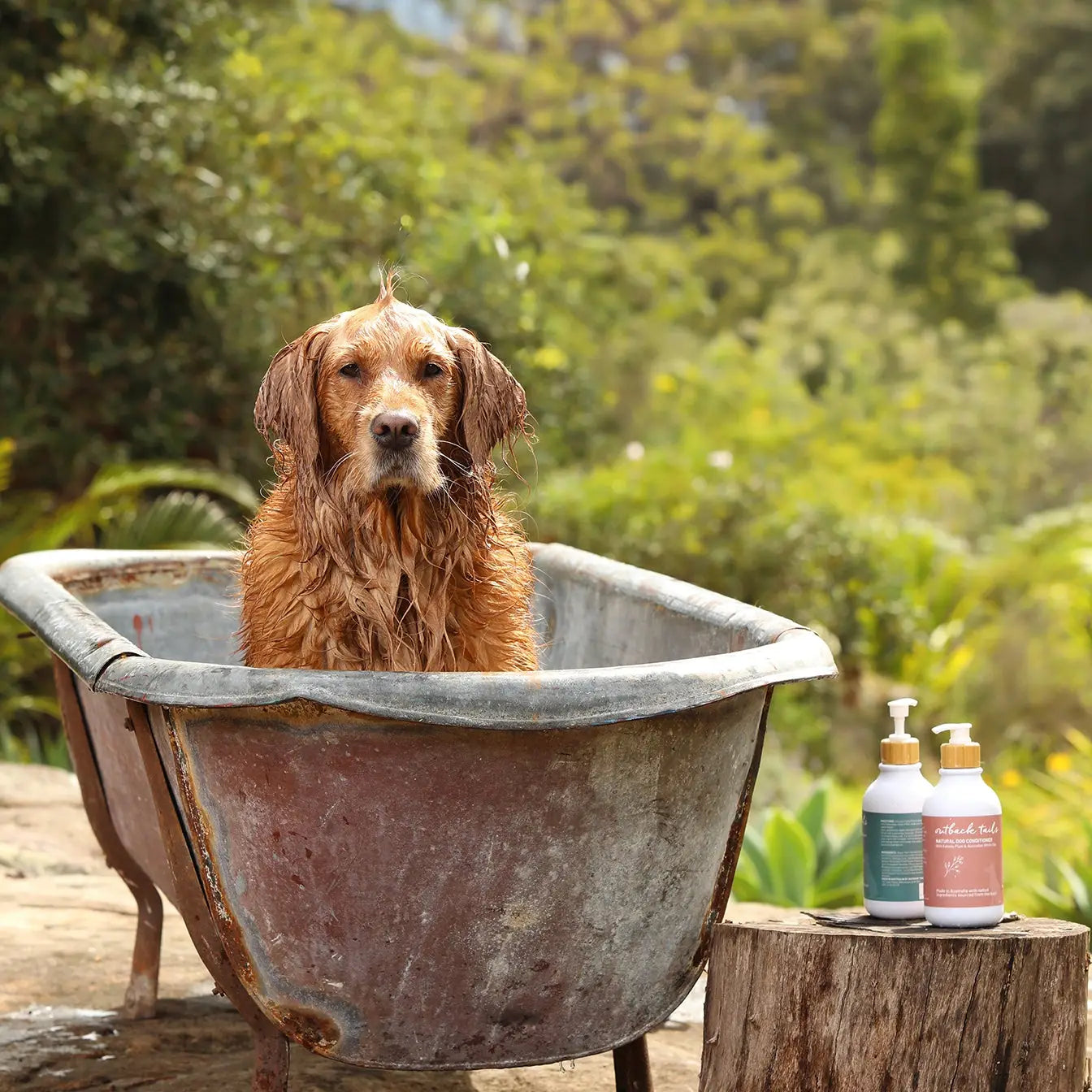 Natural Dog Conditioner
