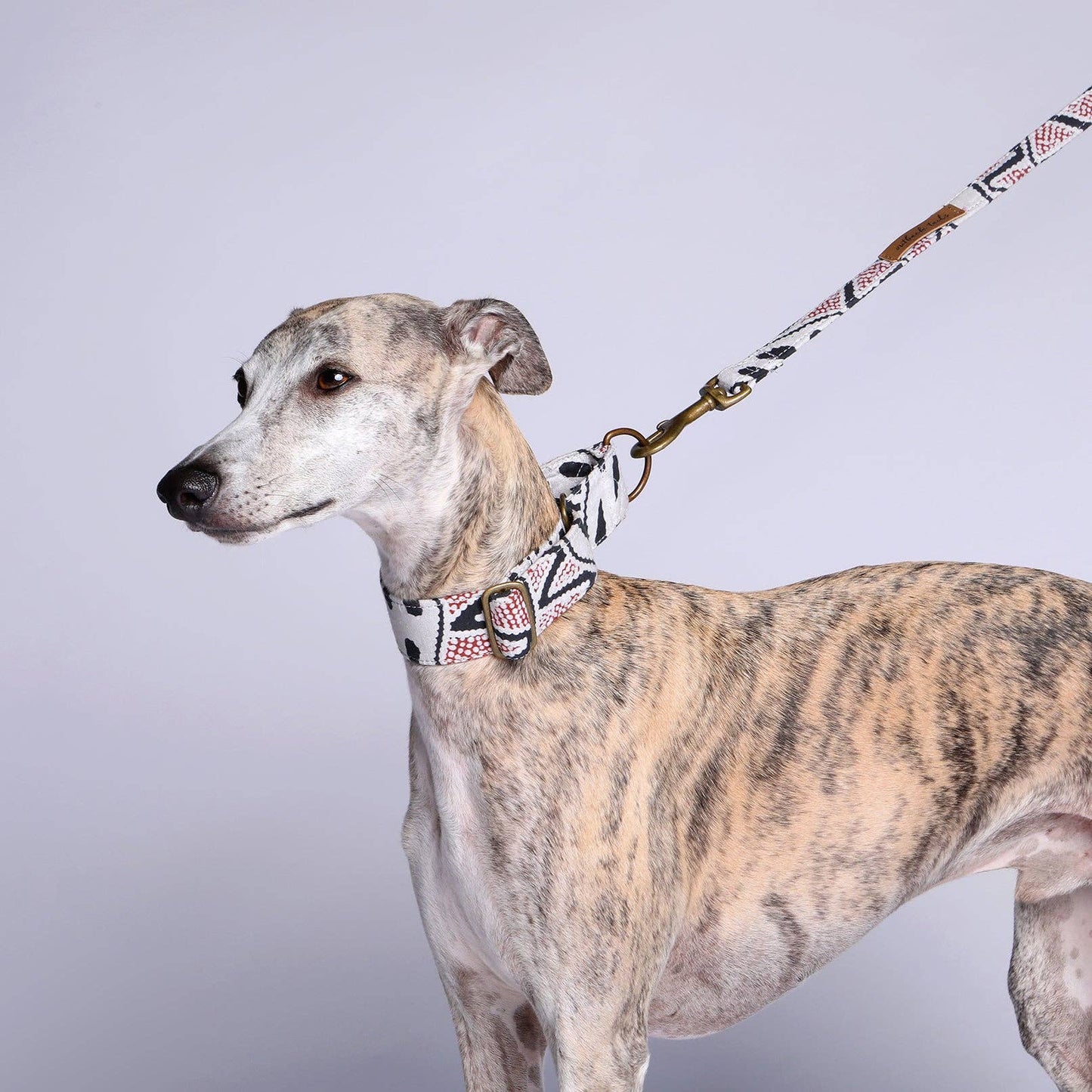 Martingale Collar - Vaughan Springs