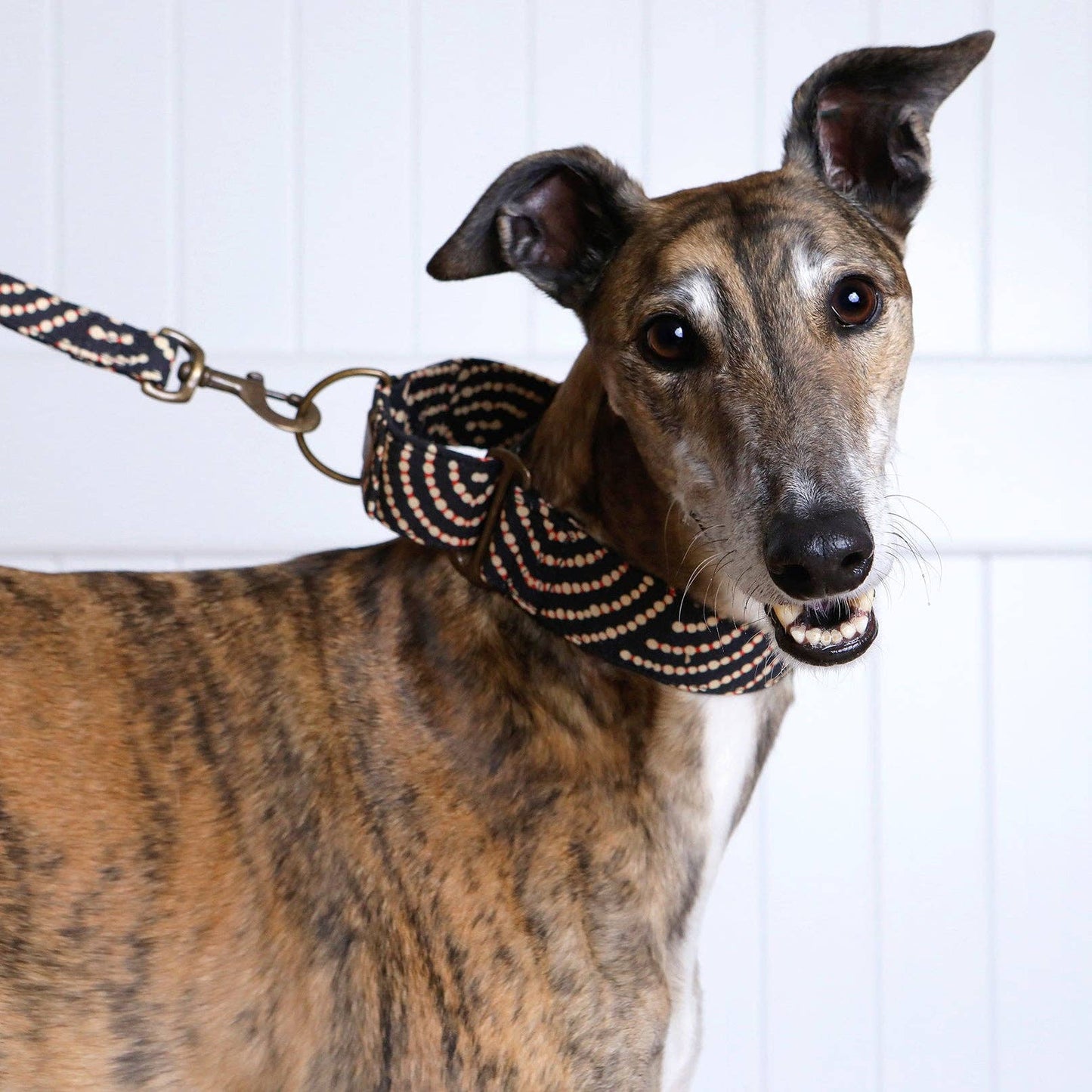 Martingale Collar - Ngama