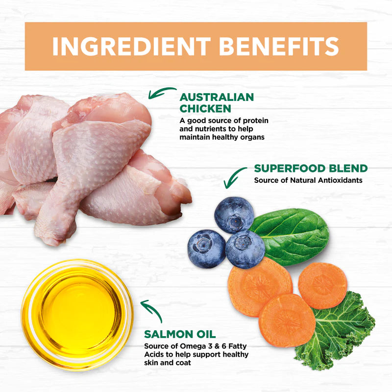 Ivory Coat – Kitten – GRAIN FREE Chicken 2kg