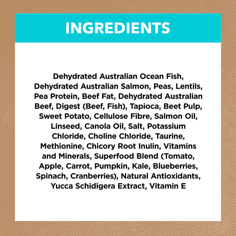 Ivory Coat – Kitten – GRAIN FREE Ocean Fish & Salmon - 2kg