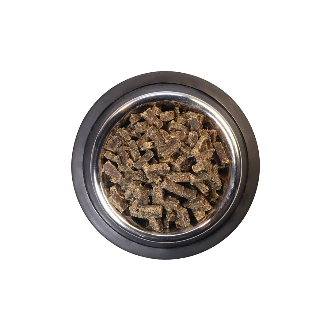 Stainless steel bowl filled with pet food on a white background