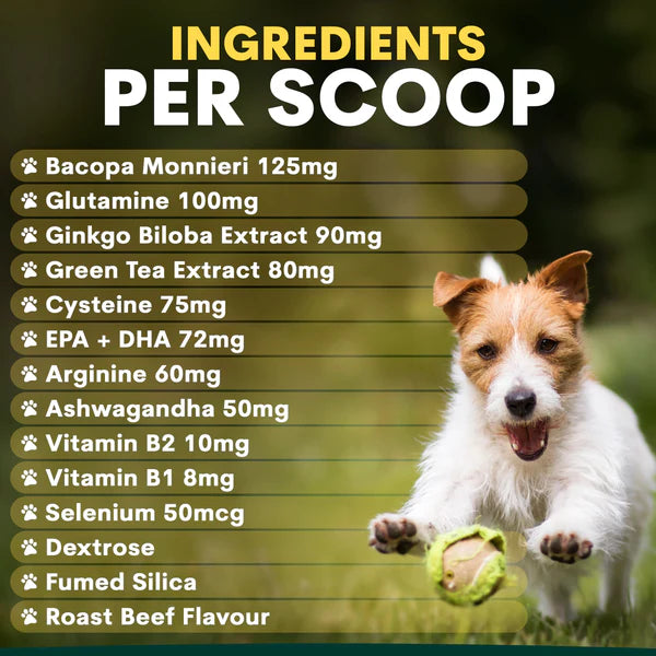 PetzPark – Brain Support – For Dogs