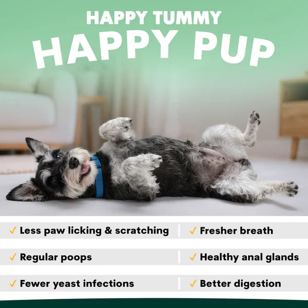PetzPark – Probiotic – For Dogs