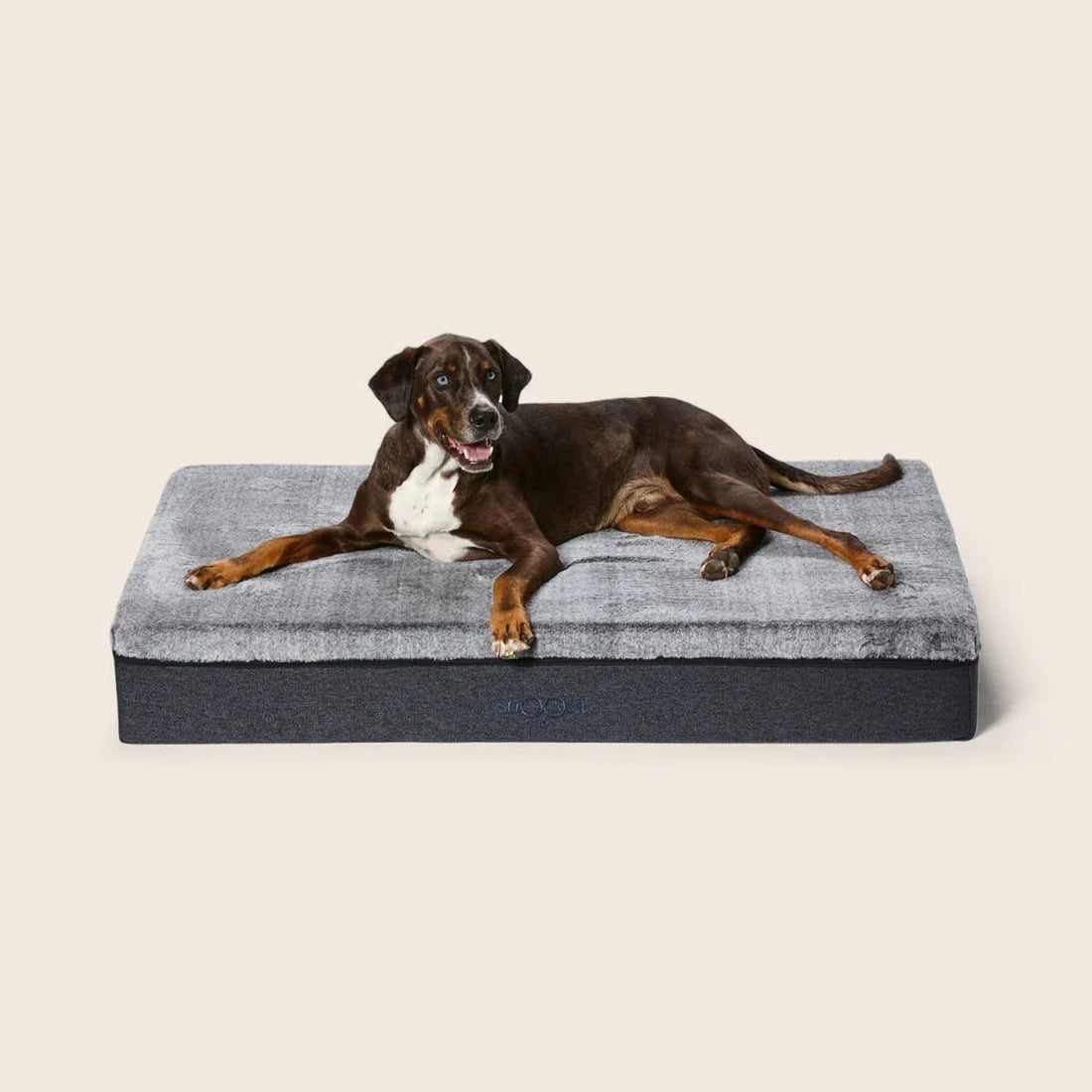 Snooza – Big Dog Bed – Chinchilla