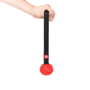GiGwi – Go-Fetch – Slinger Ball