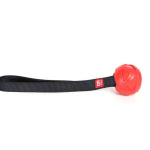 GiGwi – Go-Fetch – Slinger Ball