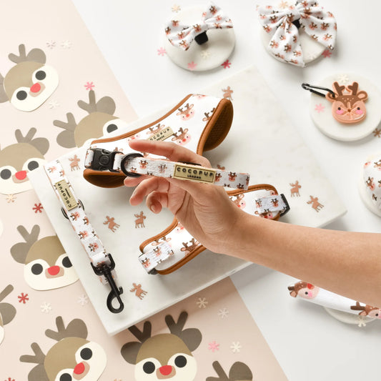 Cocopup London – Dog Collar – Ralphie Reindeer