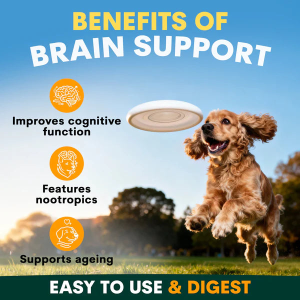 PetzPark – Brain Support – For Dogs