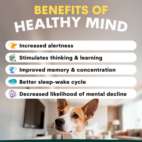 PetzPark – Brain Support – For Dogs