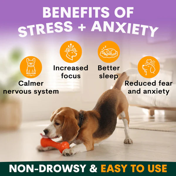 PetzPark – Stress + Anxiety – For Dogs