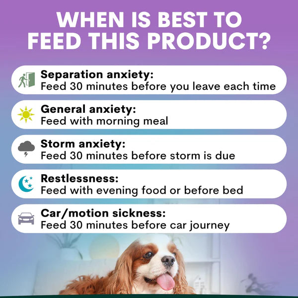 PetzPark – Stress + Anxiety – For Dogs
