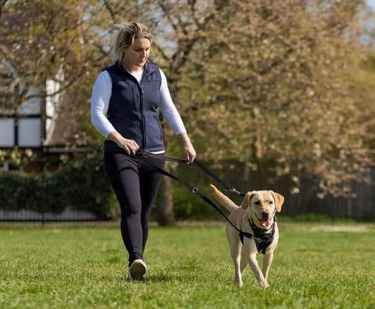 Company of Animals – Halti – No Pull Harness