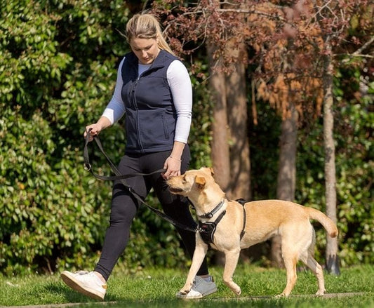 Company of Animals – Halti – No Pull Harness