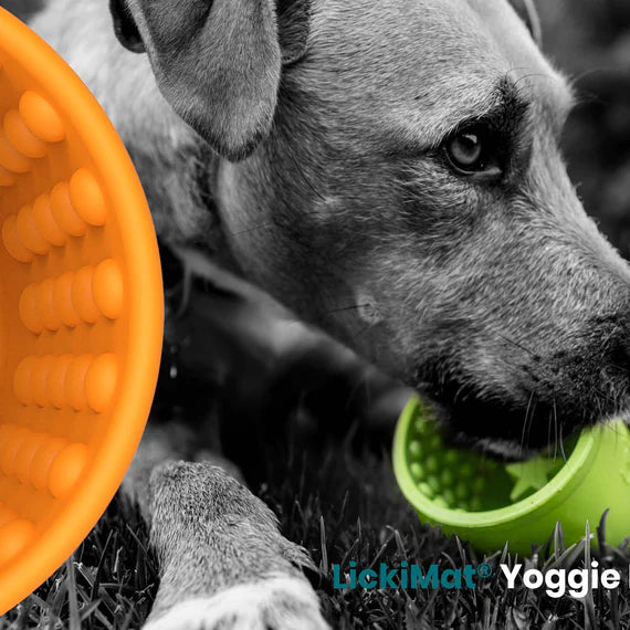 LickiMat – Yoggie Pot