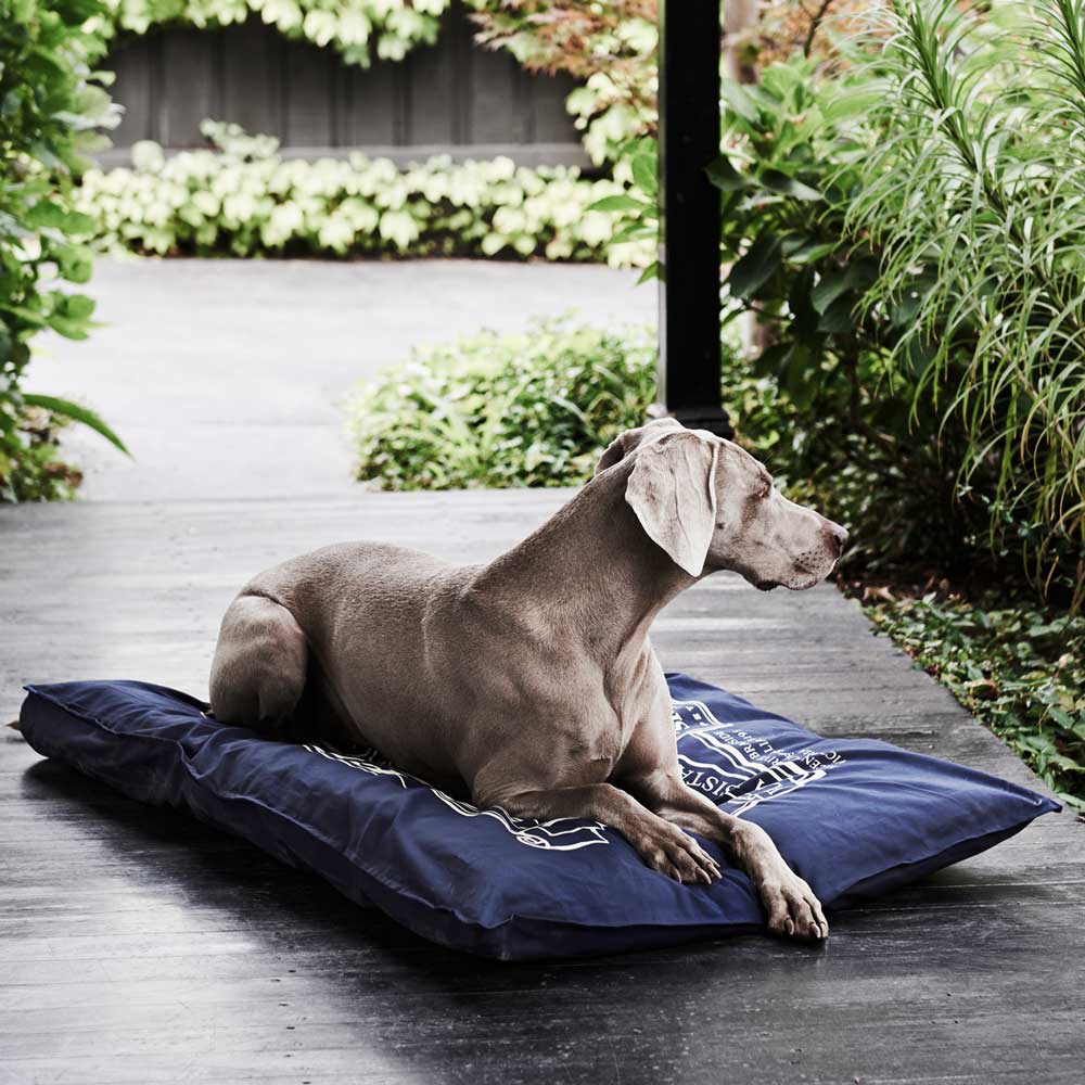 Snooza – Organic Pet Futon – Blue