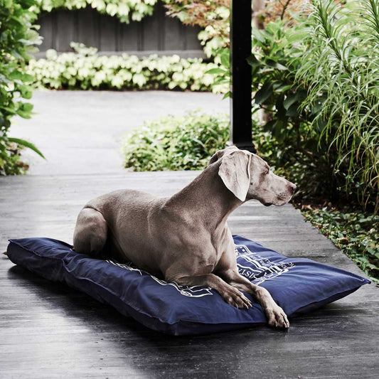 Snooza – Organic Pet Futon – Blue