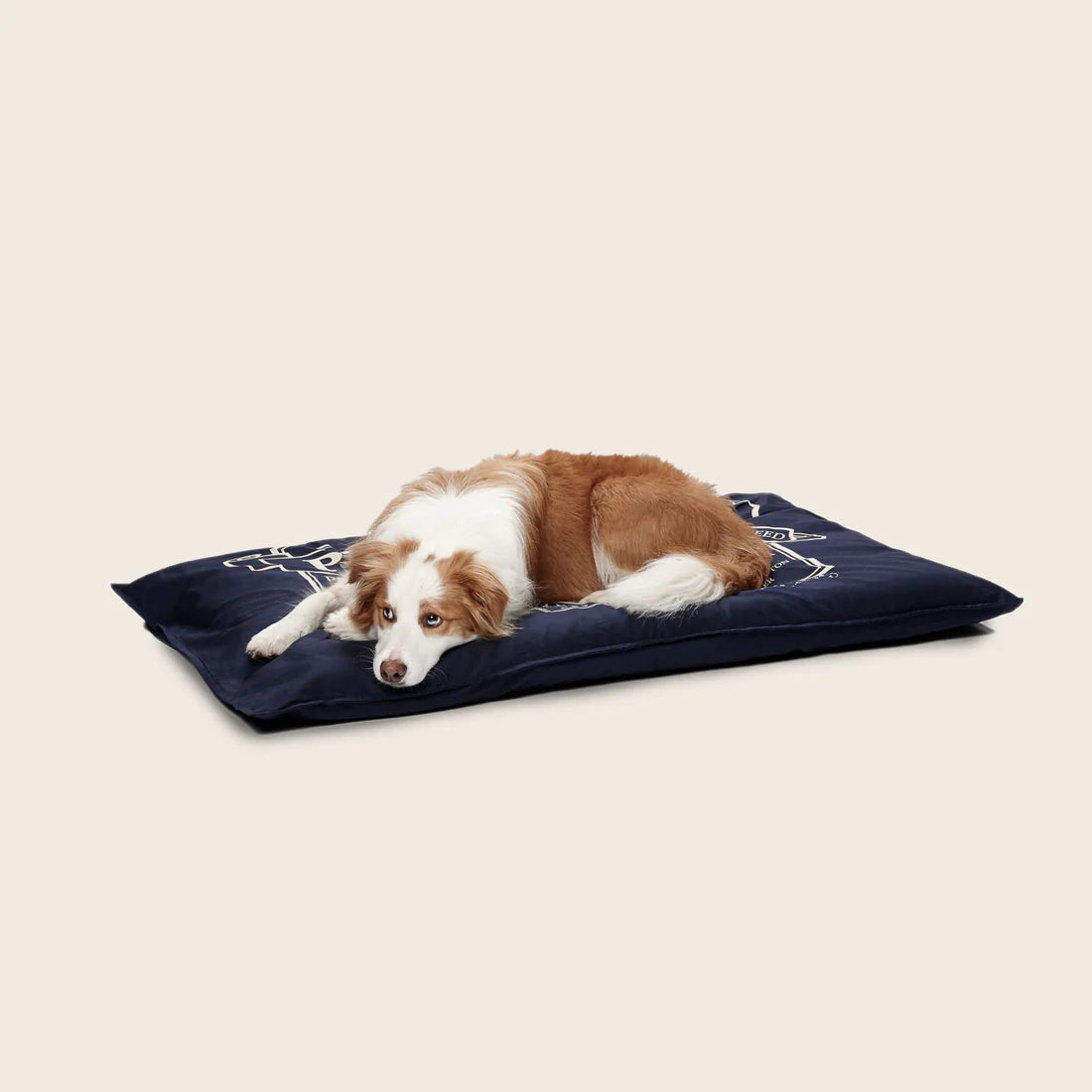 Snooza – Organic Pet Futon – Blue