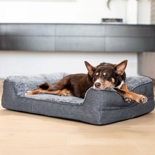Snooza – Ortho Dream Sofa – Chinchilla