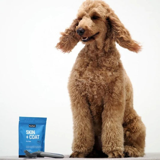 PetzPark – Skin + Coat – For Dogs