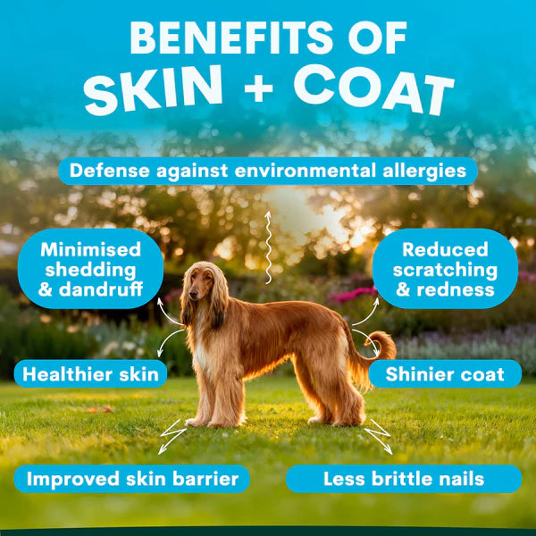 PetzPark – Skin + Coat – For Dogs