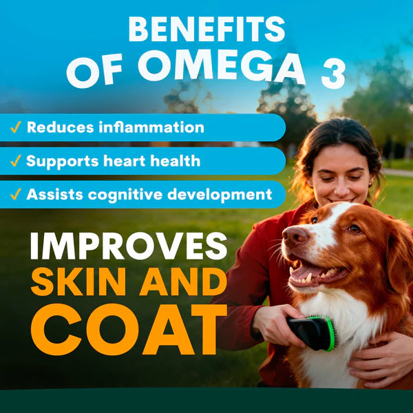 PetzPark – Skin + Coat – For Dogs