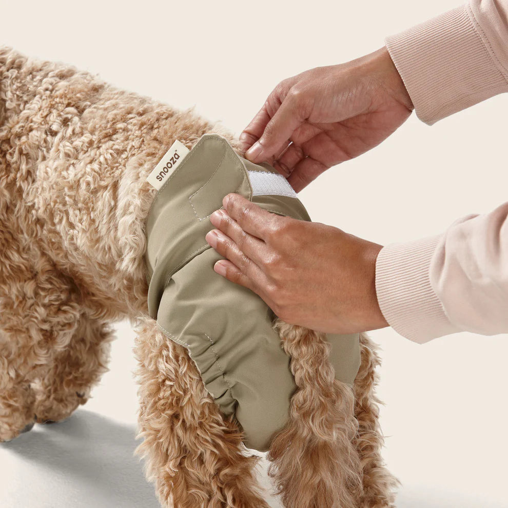 Snooza Washable Dog Nappy – Twin Pack for Female Dogs