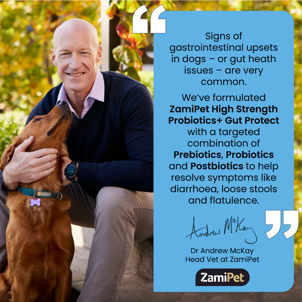 ZamiPet – High Strength Probiotics+