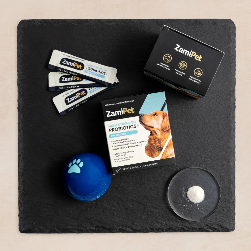 ZamiPet – High Strength Probiotics+