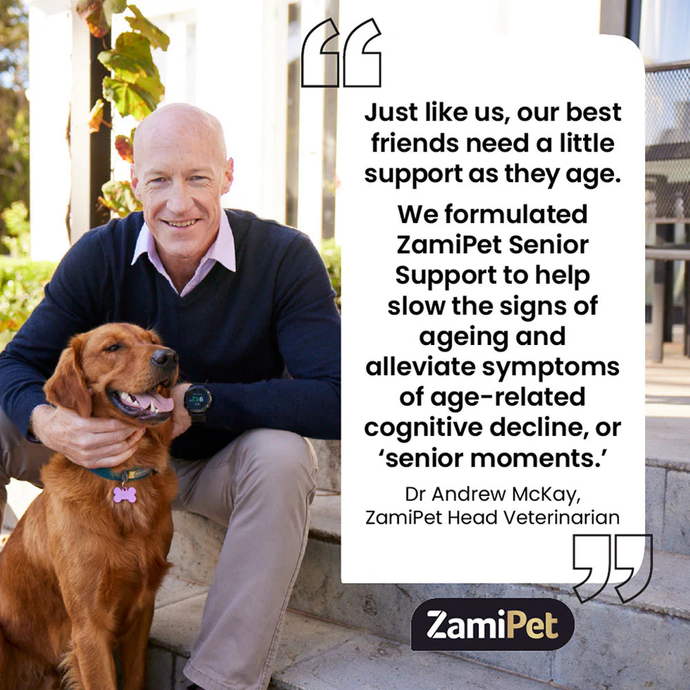 ZamiPet – Senior Support - 60 chews/300 grams