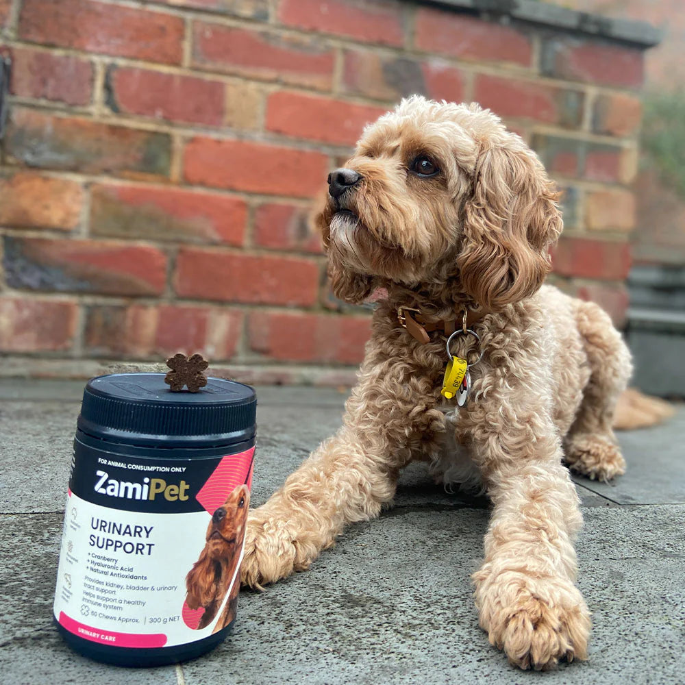 ZamiPet – Urinary Support - 60 chews/300g
