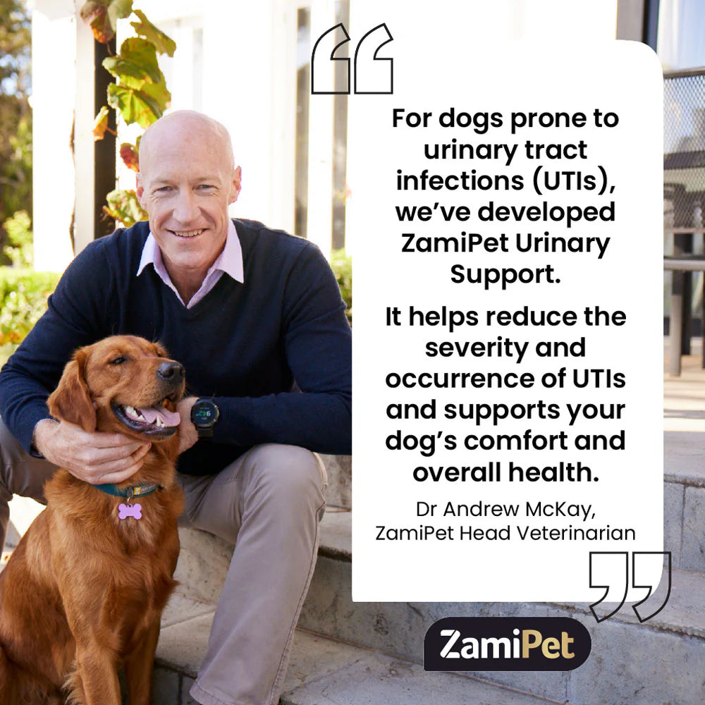 ZamiPet – Urinary Support - 60 chews/300g