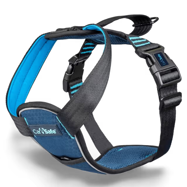CarSafe – Crash Tested Harness – Blue
