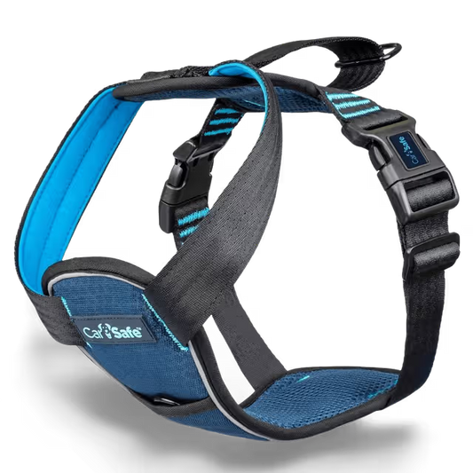 CarSafe – Crash Tested Harness – Blue
