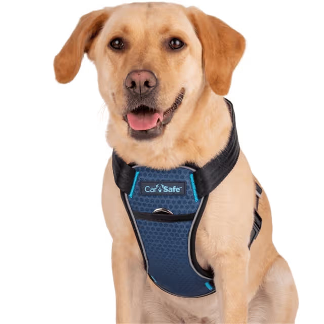 CarSafe – Crash Tested Harness – Blue