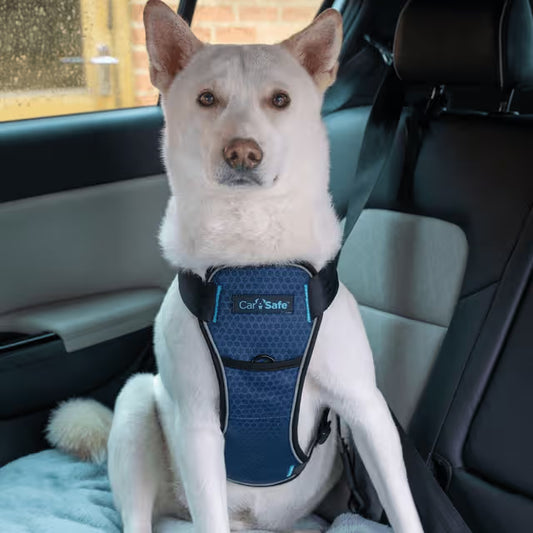 CarSafe – Crash Tested Harness – Blue