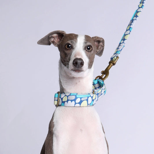 Martingale Collar - Puli Puli (Blue)