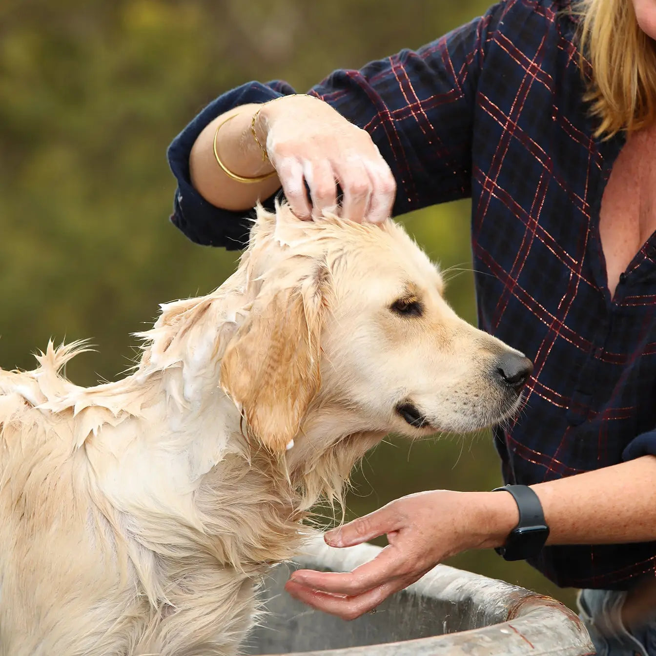 Natural Dog Wash