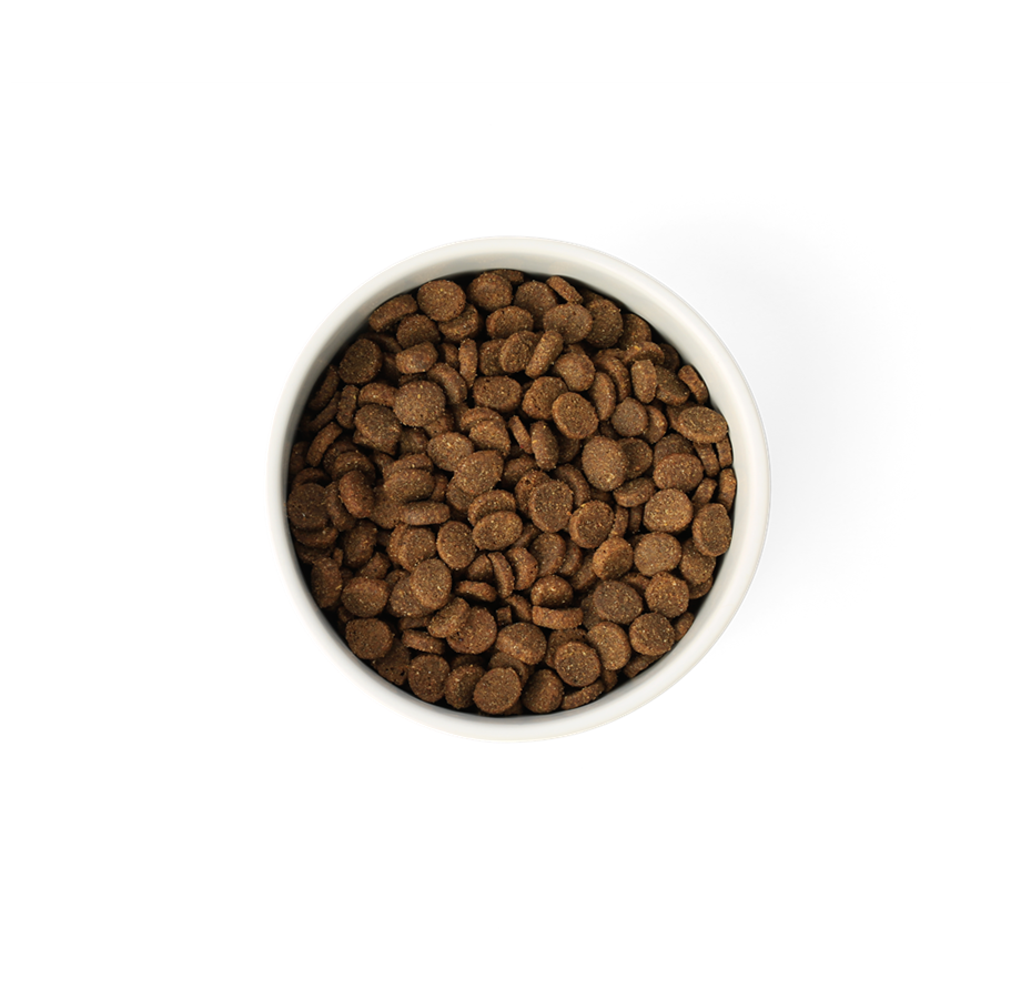 SavourLife Essentials Adult Dog Food – Australian Ocean Fish