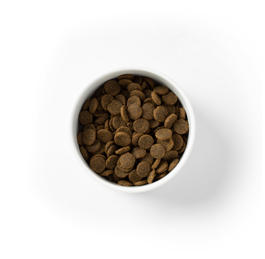 SavourLife GRAIN FREE Adult Dog Food for Large Breeds – Australian Ocean Fish & Salmon