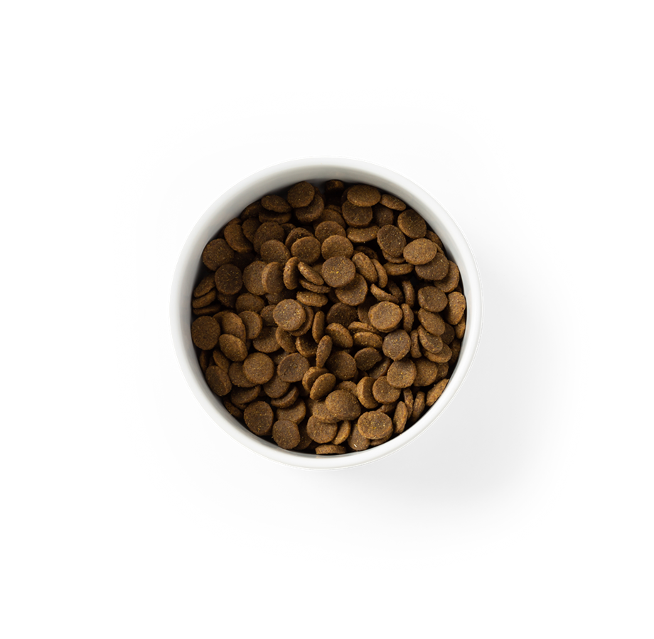 SavourLife GRAIN FREE Adult Dog Food – Australian Chicken