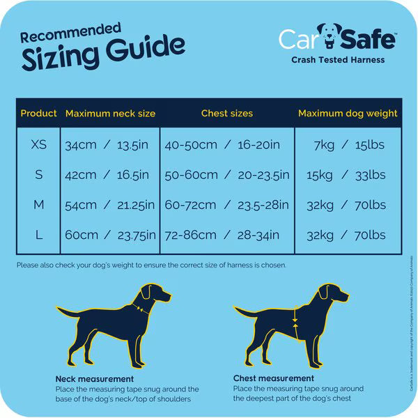 CarSafe – Crash Tested Harness – Blue