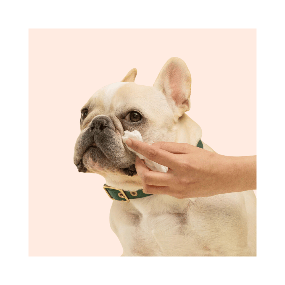 Squeaky – Probiotic Pet Eye Wipes