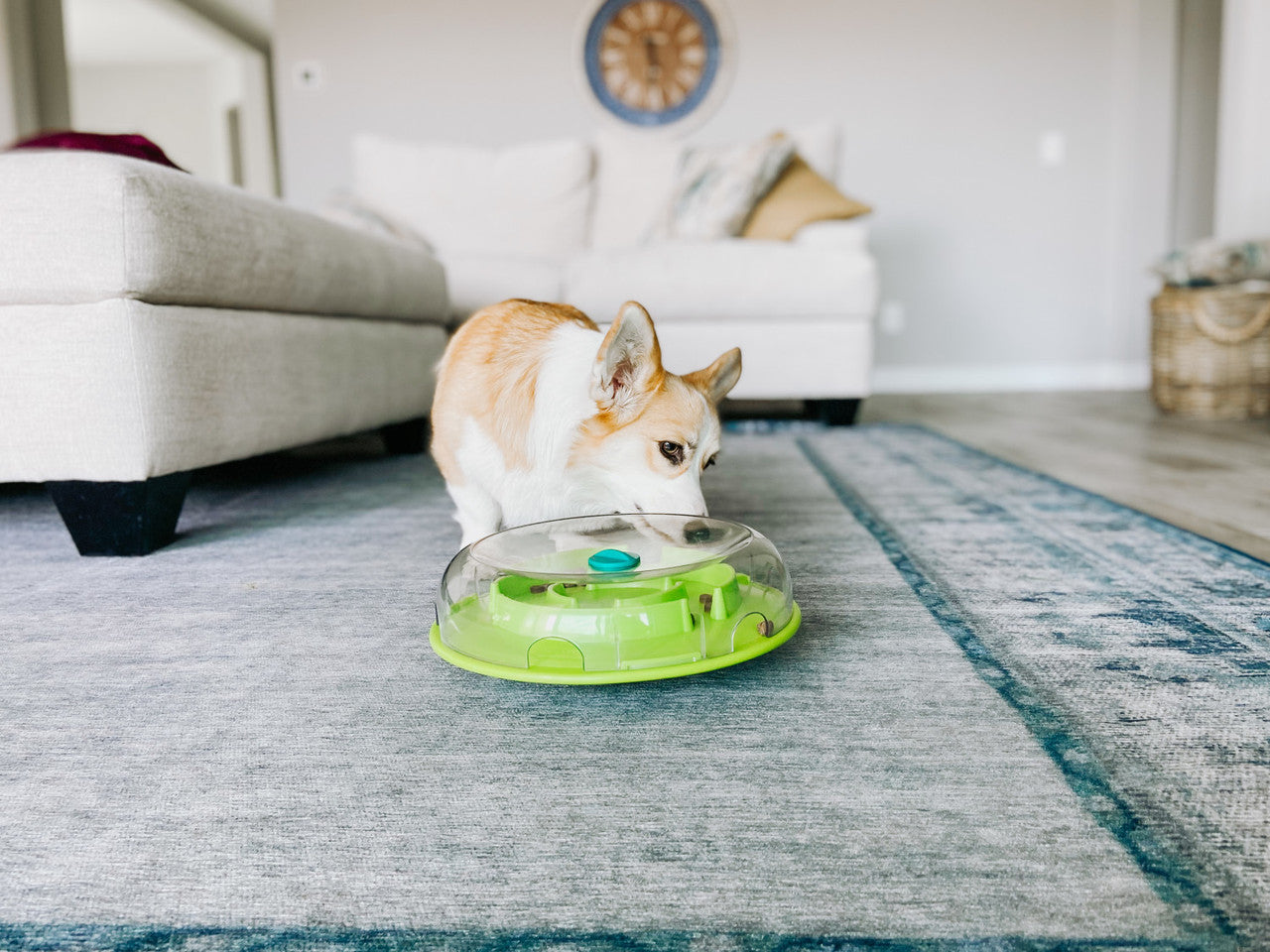 Outward Hound – Nina Ottosson – Dog Wobble Bowl (Level 1)